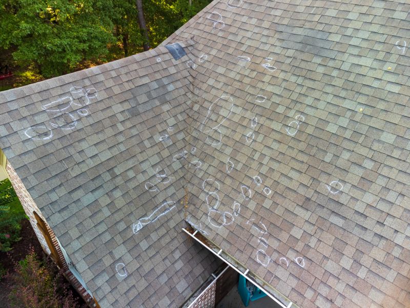 Roof Repair Inspection